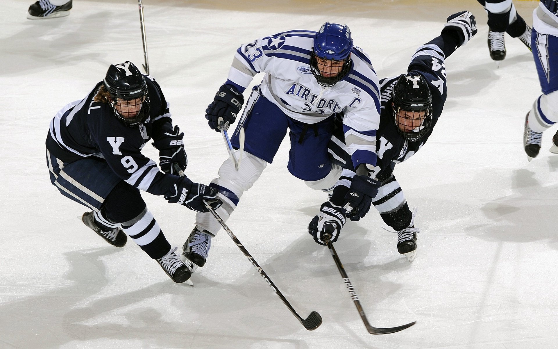联盟纪录被刷新，个人表现再创新高，联盟成绩