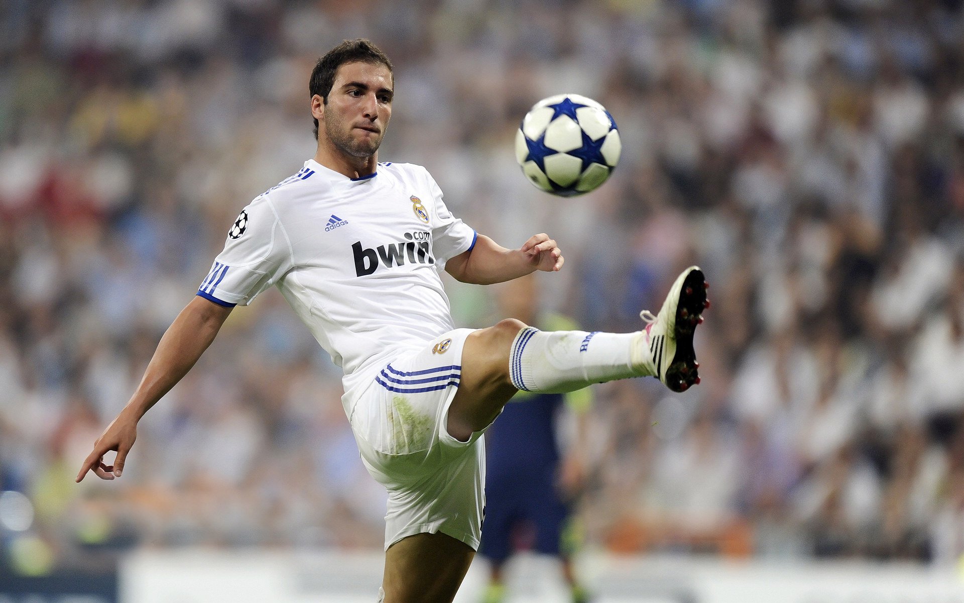 爱游戏 电竞-青少年“未来之星”特别训练营在哈尔滨开启，培养具备国际水平的选手